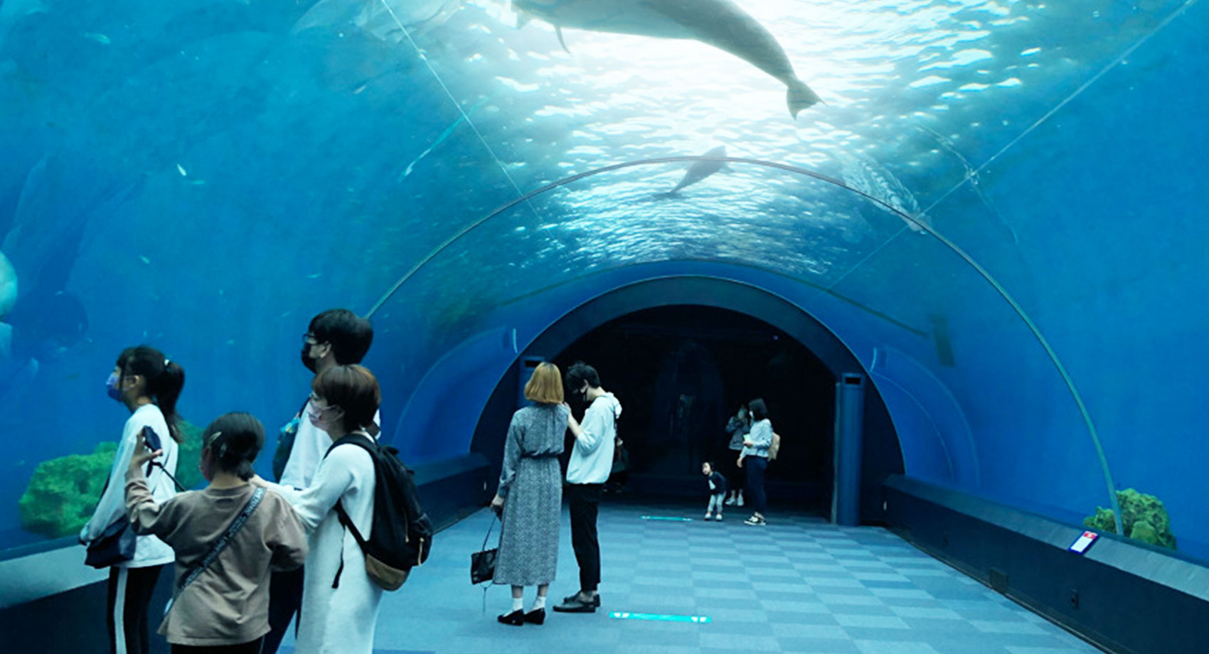 たべっ子水族館 meets 横浜・八景島シーパラダイス