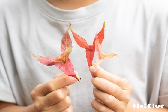 リハビリ型半日デイサービス ぴゅありは紅葉庵オープン！