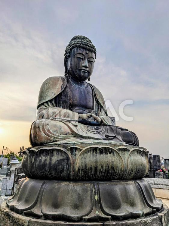 鎌ヶ谷大仏 新京成電鉄という名前はもう無いけれどさんたつ by 散歩の達人