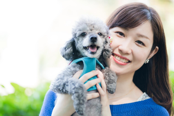 福岡 北九州 小倉癒しのふれあい犬カフェ