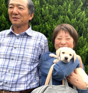 新しい家族♪田中ルイ君 - 犬舎日誌：英国ラブラドール・レトリバーとの日々