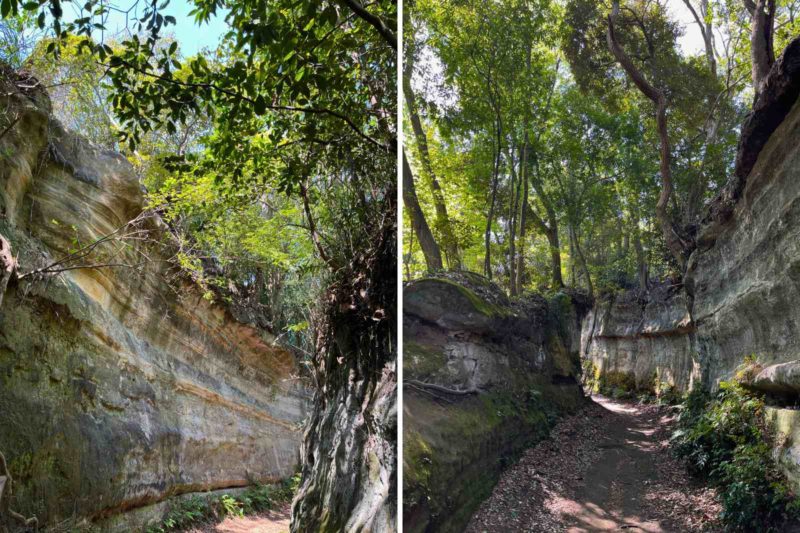 鎌倉 穴場で混雑回避！“裏・鎌倉”のんびり日帰りデート