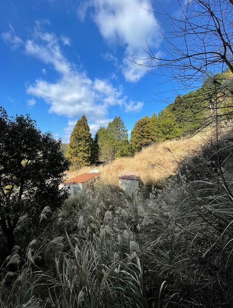 ゆな☆可愛い系♪のプロフィール：色恋（宇和島）（宇和島デリヘル）｜アンダーナビ