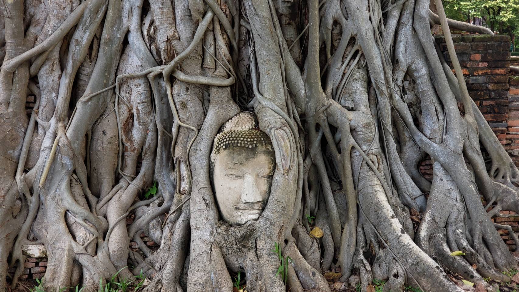 名古屋観光 名古屋のシンボル名古屋城に旅行へ行ってきた！歴史や見どころについて旅と暮らしのダイアログ