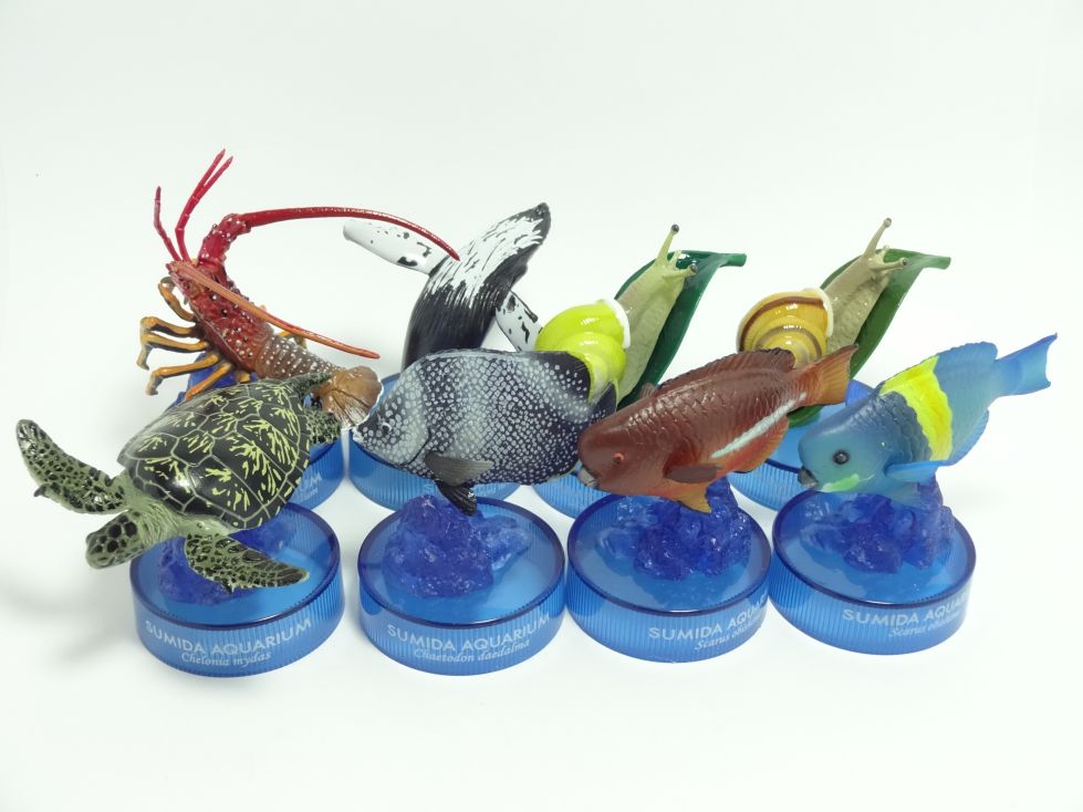 Amazon.co.jp: すみだ水族館限定クラゲ置物と水晶 : ペット用品