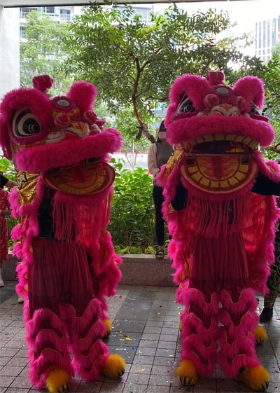 シンガポールのライオンダンス？シンガポールワーホリ留学ブログワーホリ・英語留学・インターンの体験談