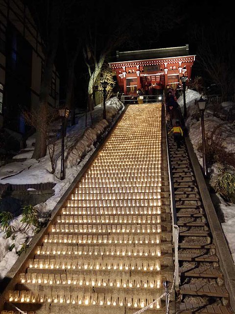 圧巻の557本 桜ライトアップ 草津で夜桜ライトアップを楽しめる