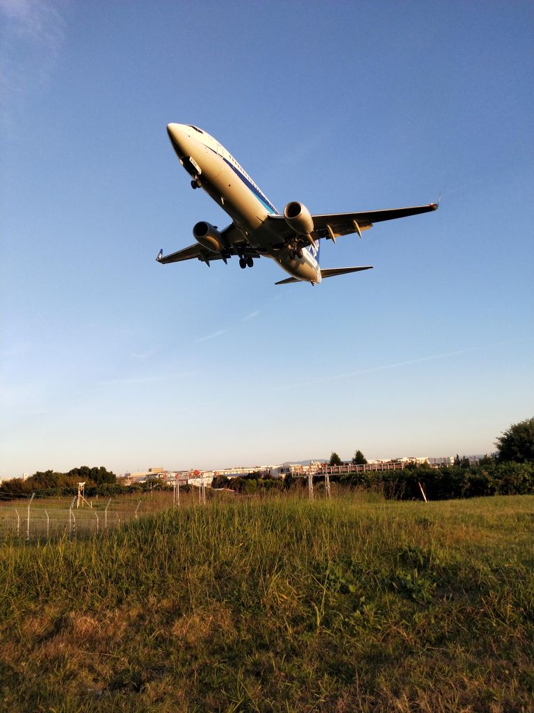 GoogleのCMにもなった！千里川土手は伊丹空港の飛行機を間近で見られます！ANAマイルを貯めた猫