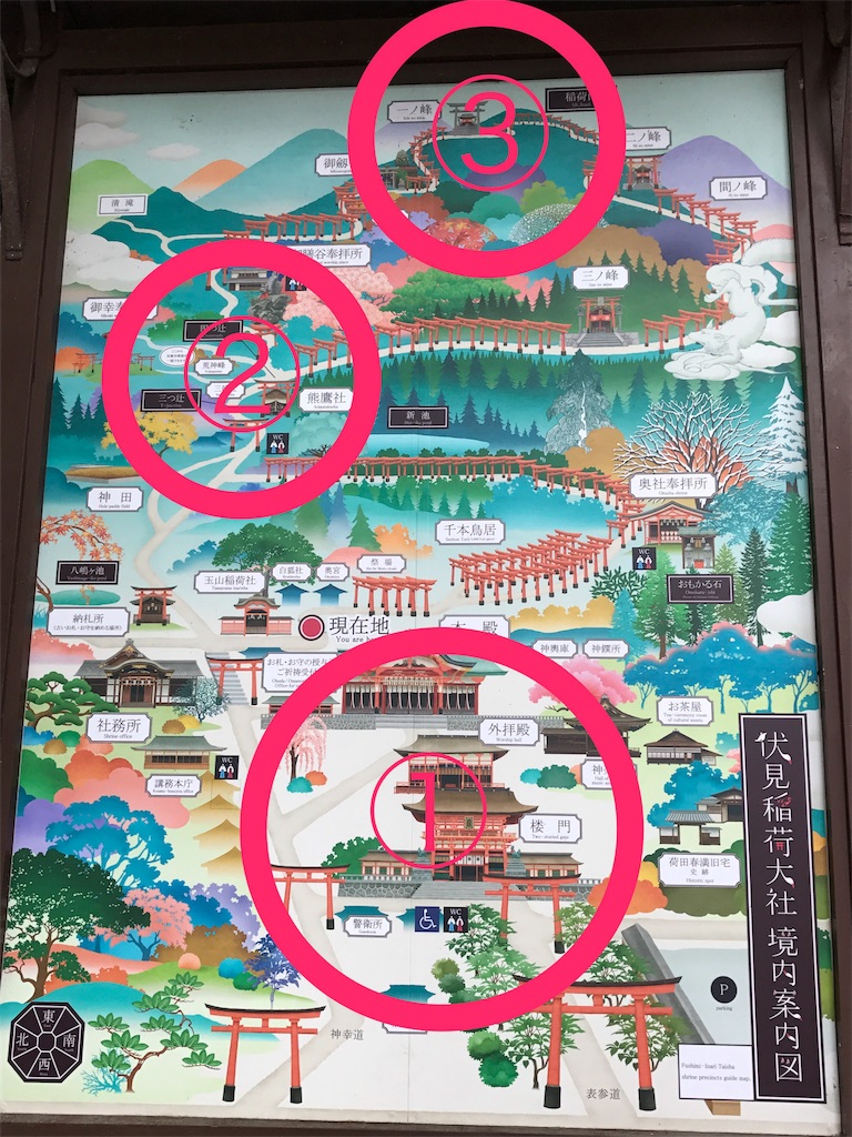 伏見稲荷大社 桜