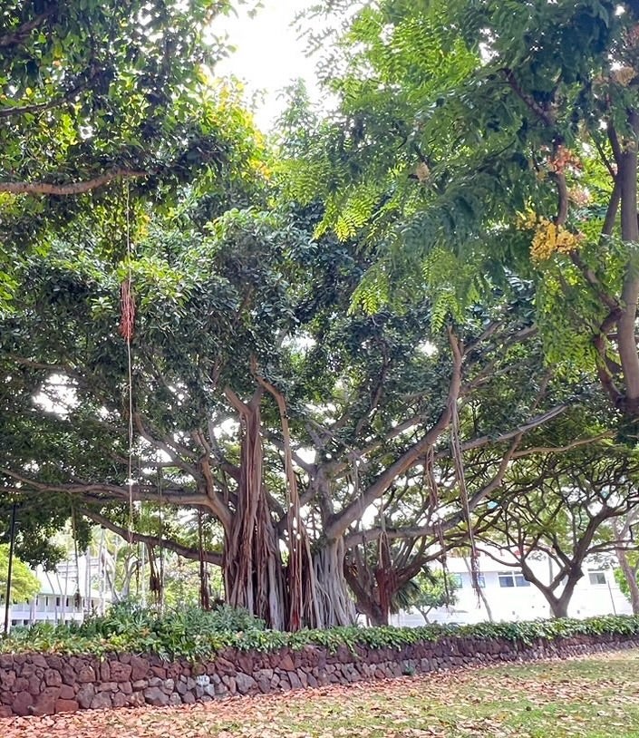 バニアンツリーGreen Spa Hawaii