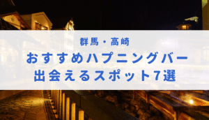 新潟にハプニングバーはある？出会いが見つかるバーと相席ラウンジを紹介！ - 風俗本番指南書