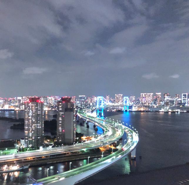 東京で夜景を楽しむタワーマンションの選び方！タワマン住民の感想ありタワマンマニア