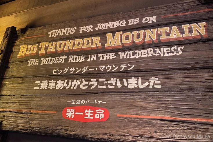 ディズニーランド＆シーのシングルライダー完全ガイド！アトラクションの乗り方や注意点も