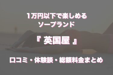 2022年2月】吉原でNS・NNができるソープランドおすすめ40選！ | 恵比寿フライデーナイト