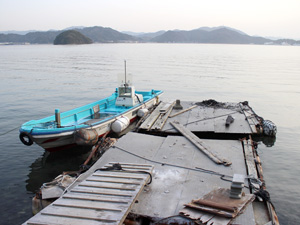 京都府の海釣り・船釣り おすすめランキングTOP1