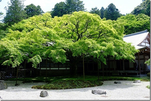 雷山千如寺 大悲王院 福岡県糸島市