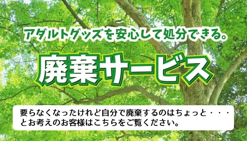 年内受付11/15迄】大人のおもちゃ(ホール・ドール・バイブ等)不用品 処分サービス / ホットパワーズ