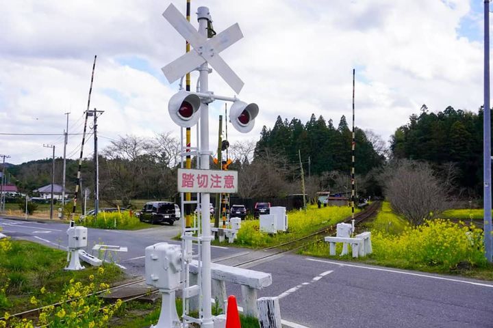 飯給駅 クチコミ・アクセス・営業時間市原 フォートラベル