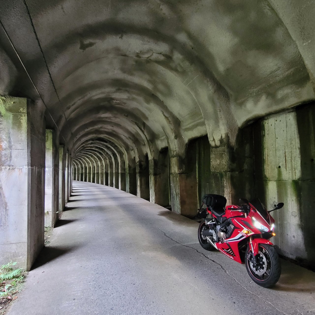 新潟県のツーリング情報！日本海の景色と海の幸＆ご当地グルメの宝庫！touring spice