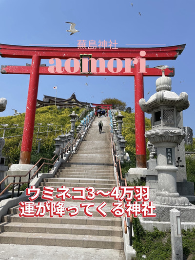 Walk × 文化商売繁盛・漁業安全地元に愛される蕪嶋神社の歴史を学ぶVISIT HACHINOHEVISITはちのへ観光物産サイト