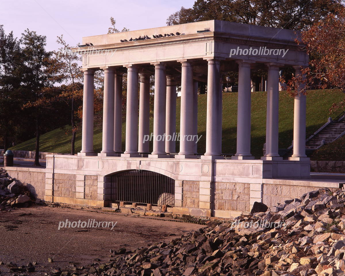 プリマスロックチキンカップ、素朴な田舎風装飾、都会の農業 - Etsy 日本