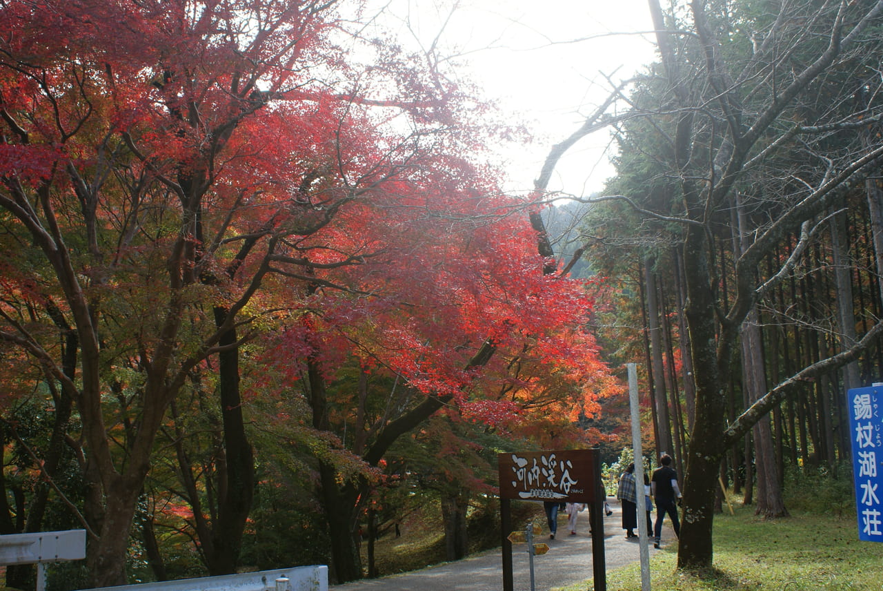 三重県津市でカップルの出張撮影・写真撮影ができるフォトグラファー・出張カメラマン一覧-ふぉとる