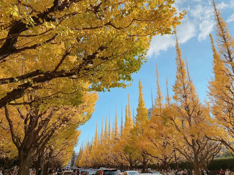 明治神宮外苑東京 おすすめの人気観光・お出かけスポット - Yahoo!トラベル