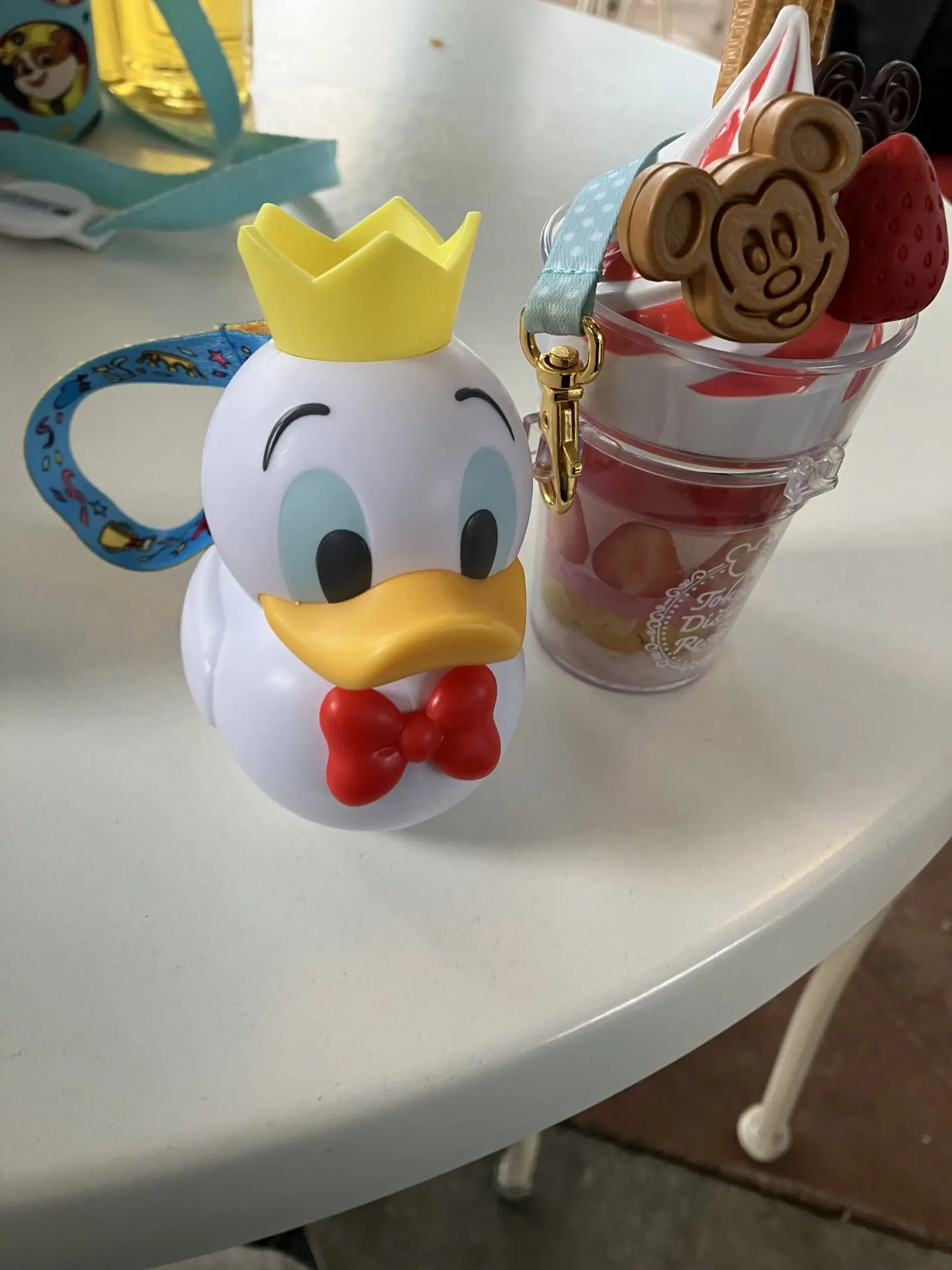 厳選 子連れディズニー基本の持ち物と持って行って良かったもの！チェックリスト付 - TSUJI