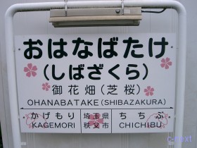 西武4000系写真館～4 13 秩父鉄道直通取りやめに伴う西武秩父・御花畑行運行～伊吹の一コマ