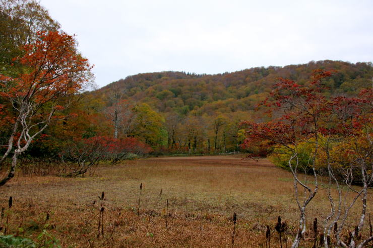 ディオール」パリ本店が改装オープン ギャラリーやレストラン、宿泊施設などを併設 - WWDJAPAN