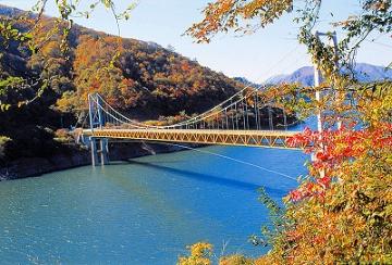 自然の中で思いっきり遊ぶ！日本最大級のメガジップラインとそば打ち体験プラン 日帰り モデルコース