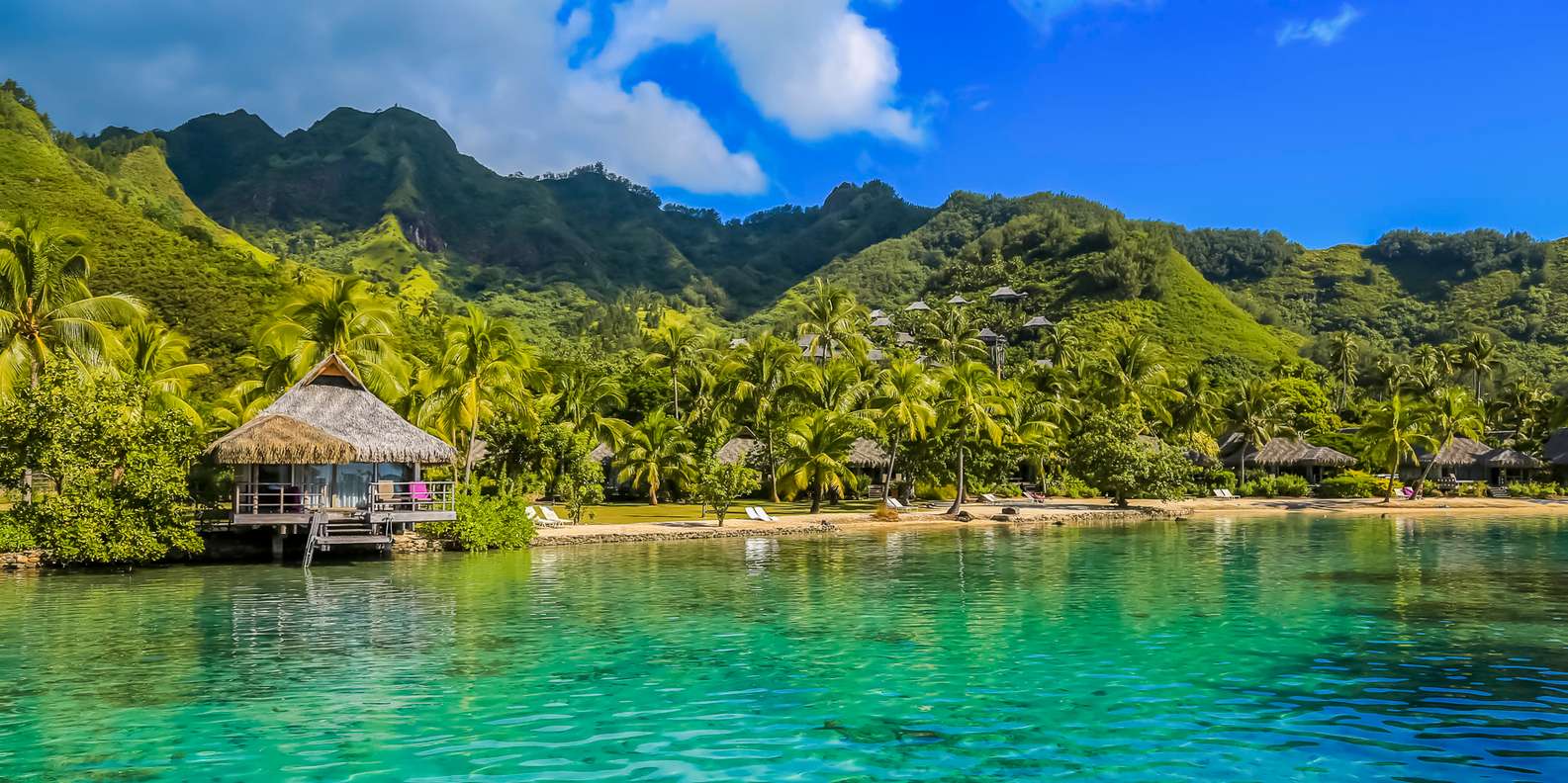 タヒチ島発 モーレア島日帰りツアー モーレア ランド＆ラグーンツアー出発時のみ日本人ガイド付- タヒチ