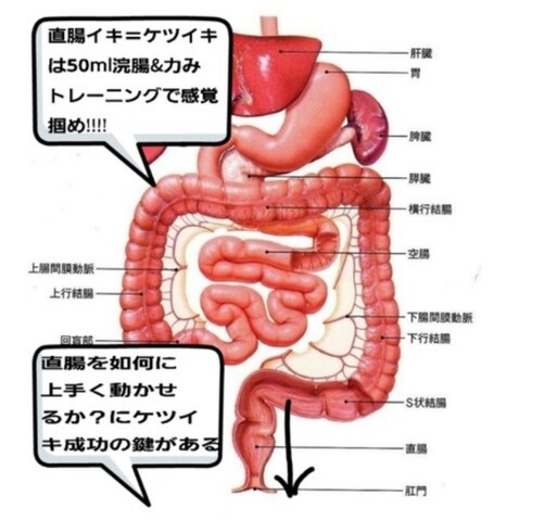 前立腺責めのやり方とコツ！気持ちいい前立腺マッサージの方法をイラストで解説