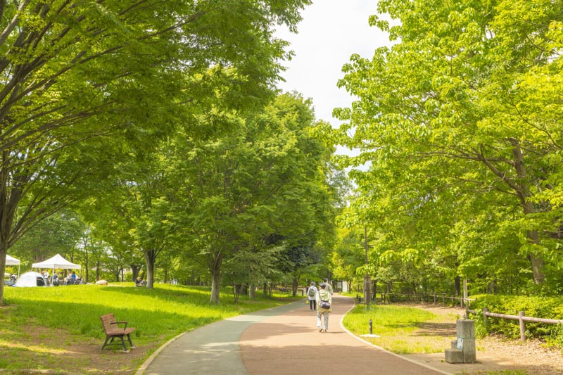 西武池袋線沿いの小さな公園 【練馬区立東中前の森緑地】