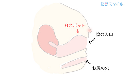 バックセックス(後背位)の気持ちいいやり方はコレ！挿入・腰の振り方のコツ│熟女動画を見るならソクヨム