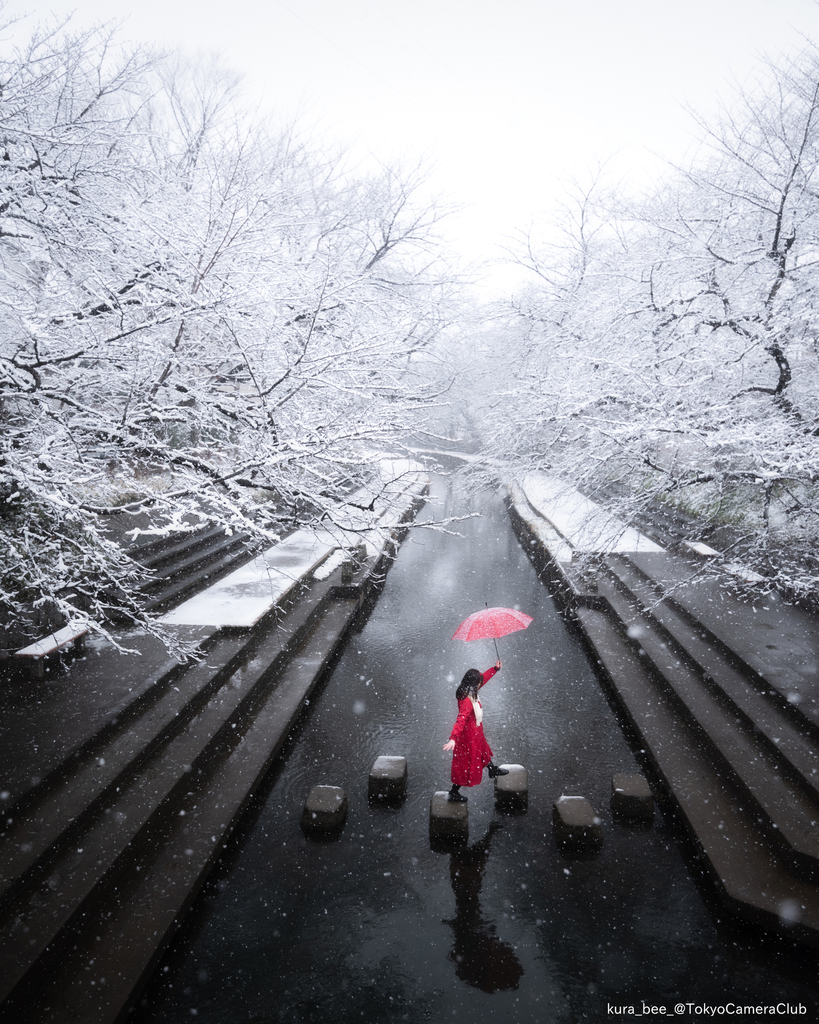 寒い冬も楽しめる埼玉県の観光スポット5選！北欧の森とイルミネーション – skyticket