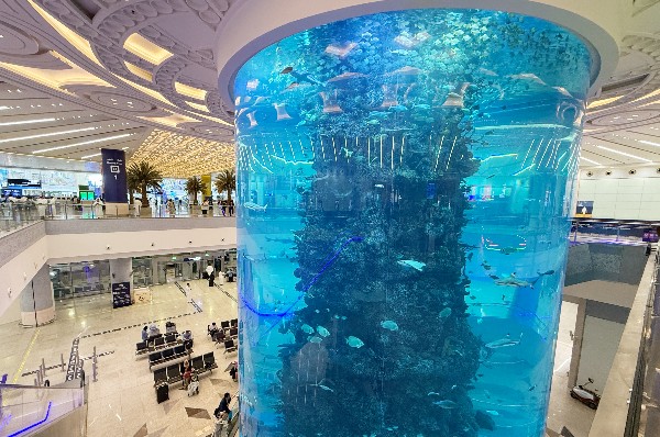 日綿實業・ニチメン サウジアラビア・ジェッダ新国際空港ターミナル │ 画像・資料でみる歴史