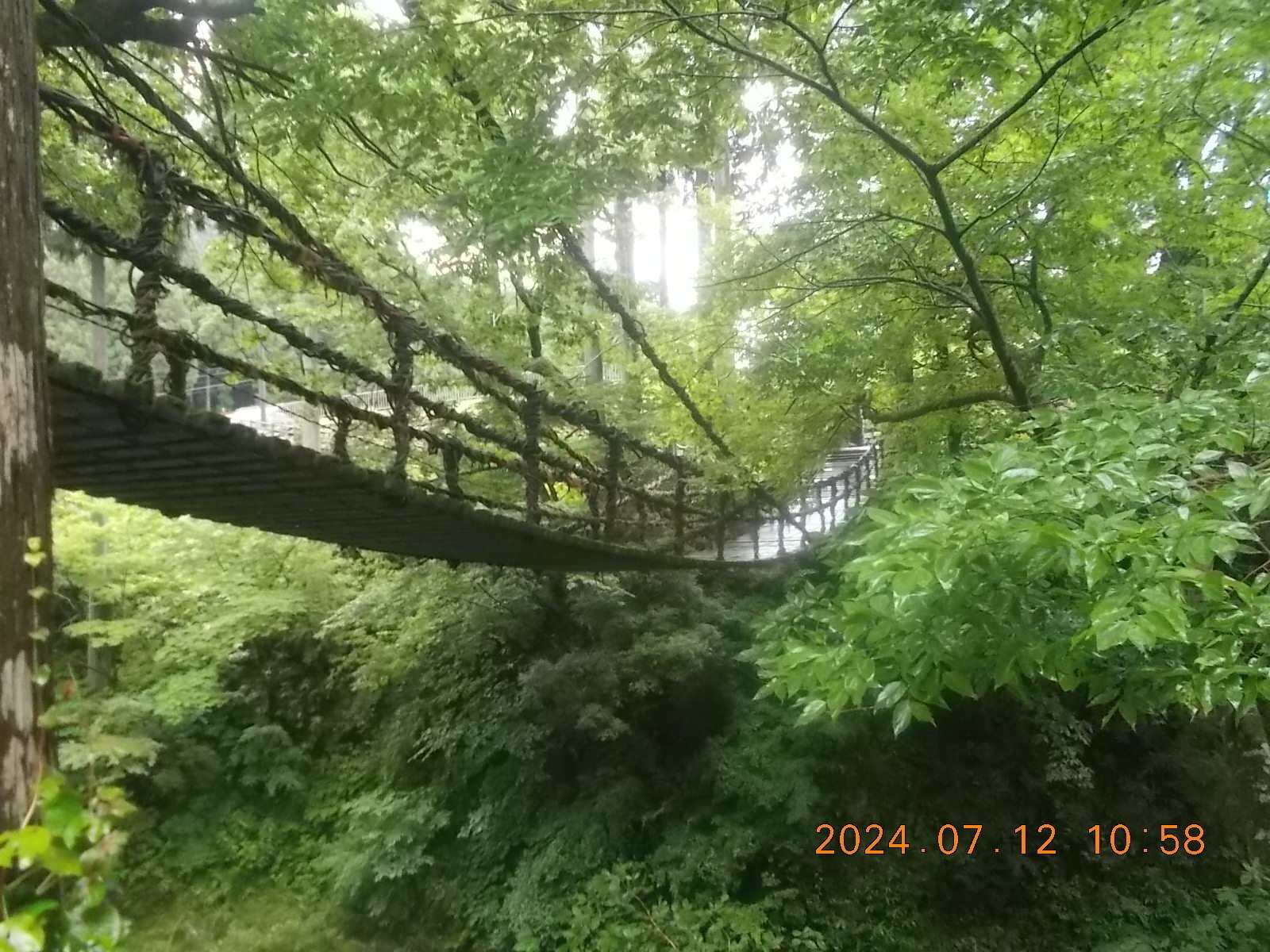 噂の吊り橋「かずら橋」 - 福井県池田町 -