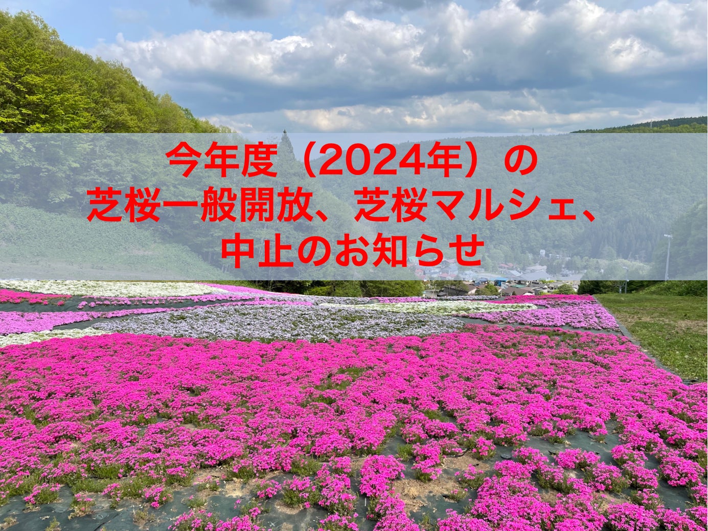 十和田湖畔桜楽【公式】十和田湖畔に佇む自然を満喫できる宿