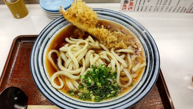 天たまや【公式】天とじうどん/祖師谷大蔵 (@tentamaya) • Instagram photos