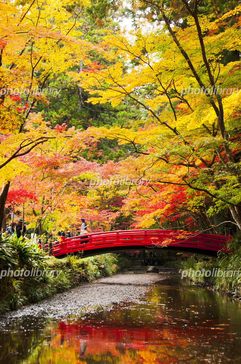 小國神社でスピリチュアルを感じる！御朱印やご利益もわかりやすく紹介神社いろは