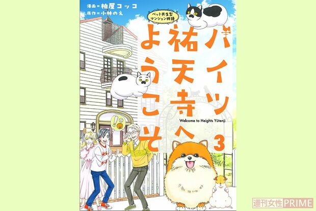 オープンレジデンス祐天寺の賃貸物件 | 【池袋・新宿】水商売・風俗勤務の方の賃貸情報