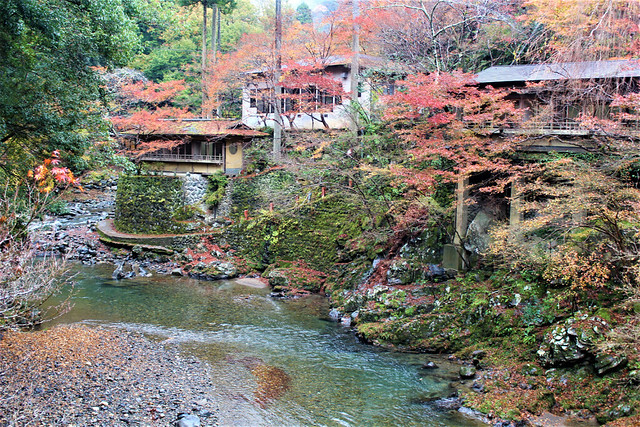 神護寺周辺のおすすめホテル・旅館10選 2025年