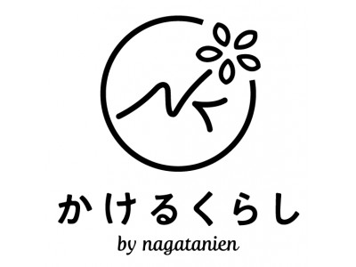 Amazon.co.jp: 極道の妻たち 決着