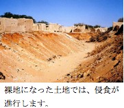 サヘル地域で深刻化する環境問題とは？ 砂漠化が引き起こすリスクと対策ELEMINIST エレミニスト