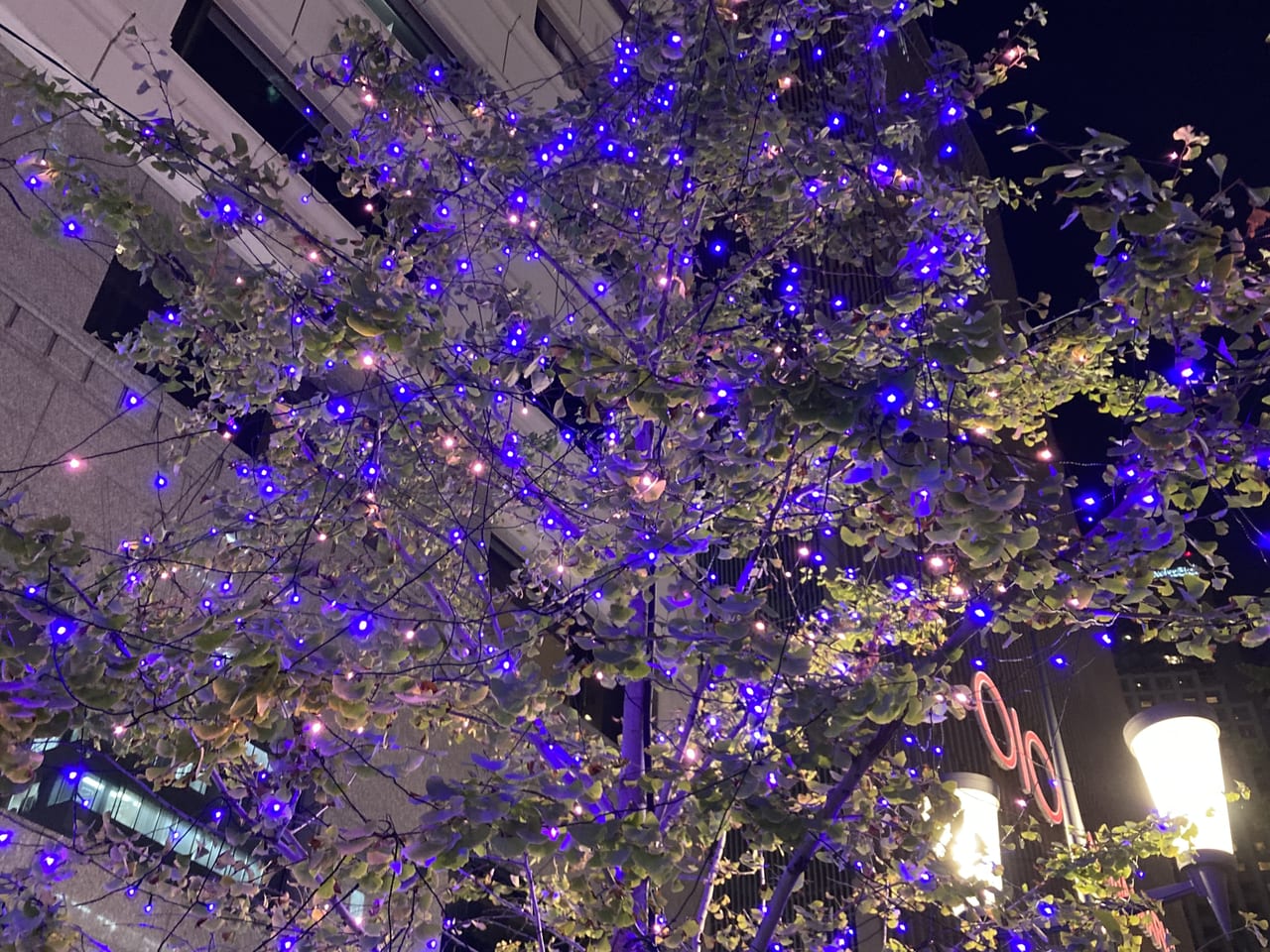 梅田から御堂筋のイルミネーションの行き方TikTok