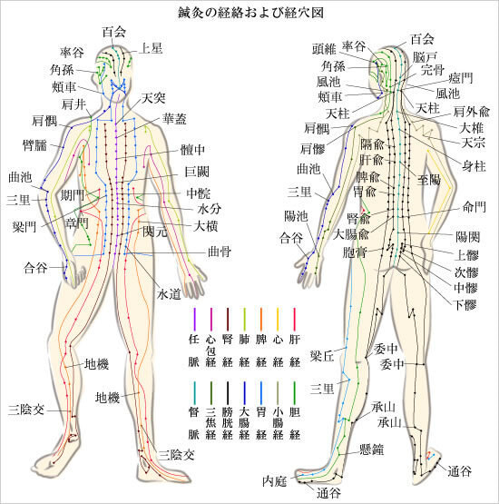 整体学校は東京の整体スクール「すいな」専門の東京すいなアカデミー | ホーム