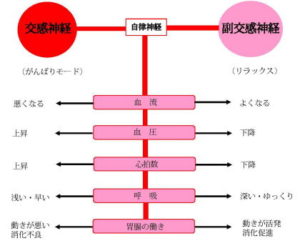 お母さんが『大型犬の足を拭いた』結果…なぜか『文句を言う姿』が可愛すぎると128万再生「くすぐったいのかな？ｗ」「助け求めてて草」｜ニフティニュース