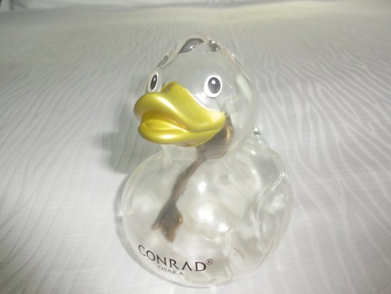 ラバーダック2022 〜Rubber Duck Project