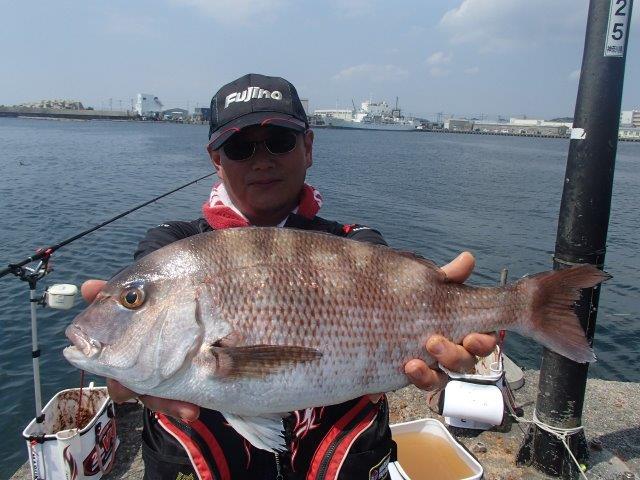 城原海岸The KANSAI Guide